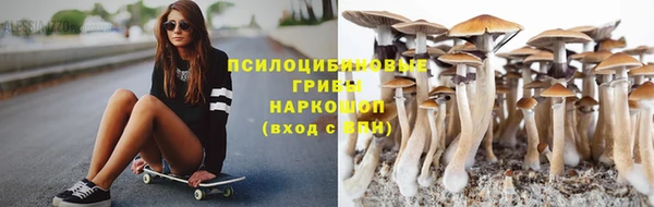 каннабис Арсеньев