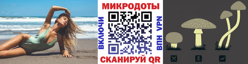 Галлюциногенные грибы Psilocybine cubensis  Купить  Дрезна 